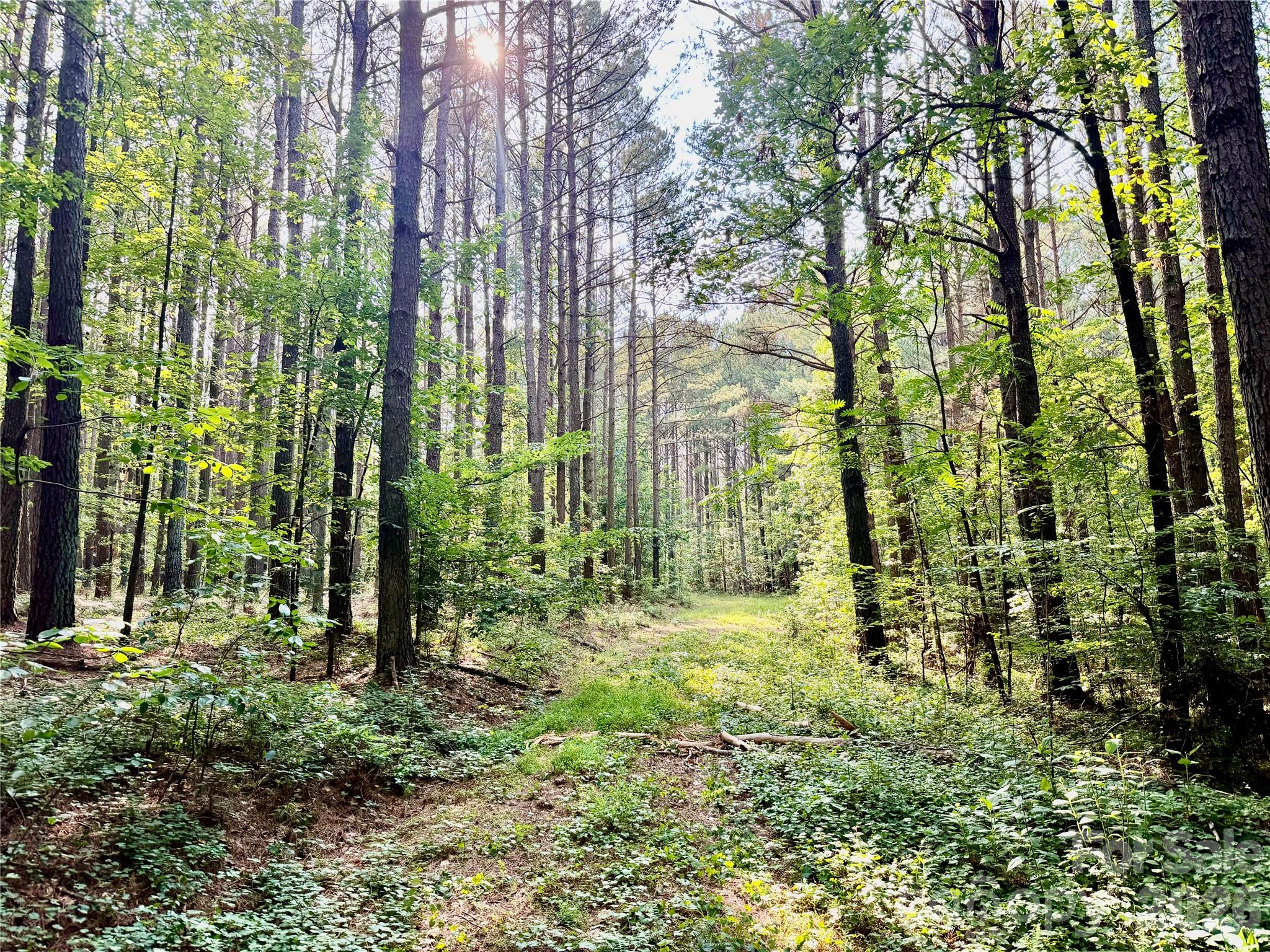 0 Butler Mill Road Harmony, NC 28634 - Photo 15 of 20