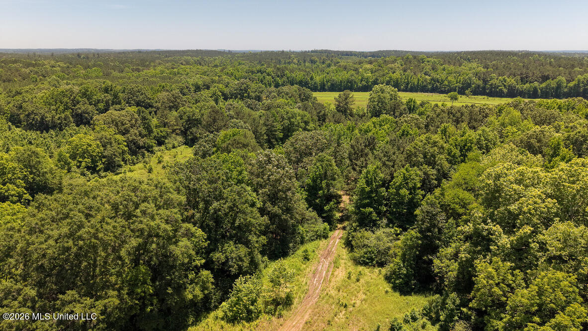3037 Hickory Fellowship Road Hickory, MS 39332 - Photo 18 of 38 1A43C30A-054A-4FAA-AC93-447F47919764_1_1