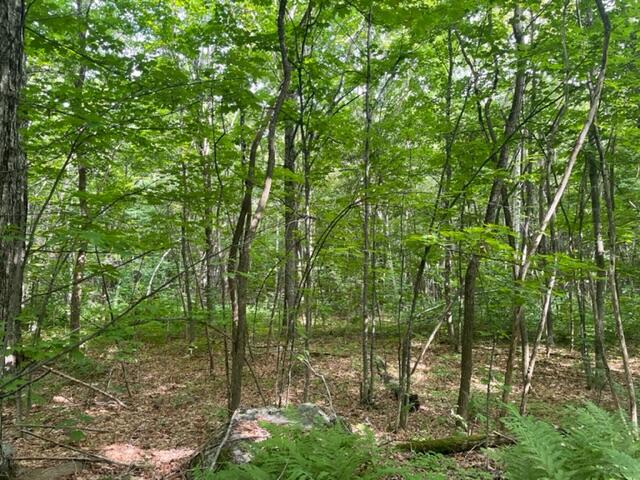 Lot 6 Ward Ridge Wellington, ME 04942 - Photo 4 of 4 IMG_5566