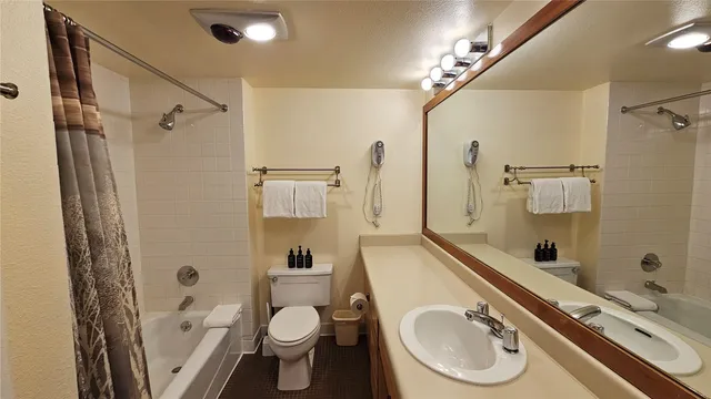 a view of a backyard with plants and a patio