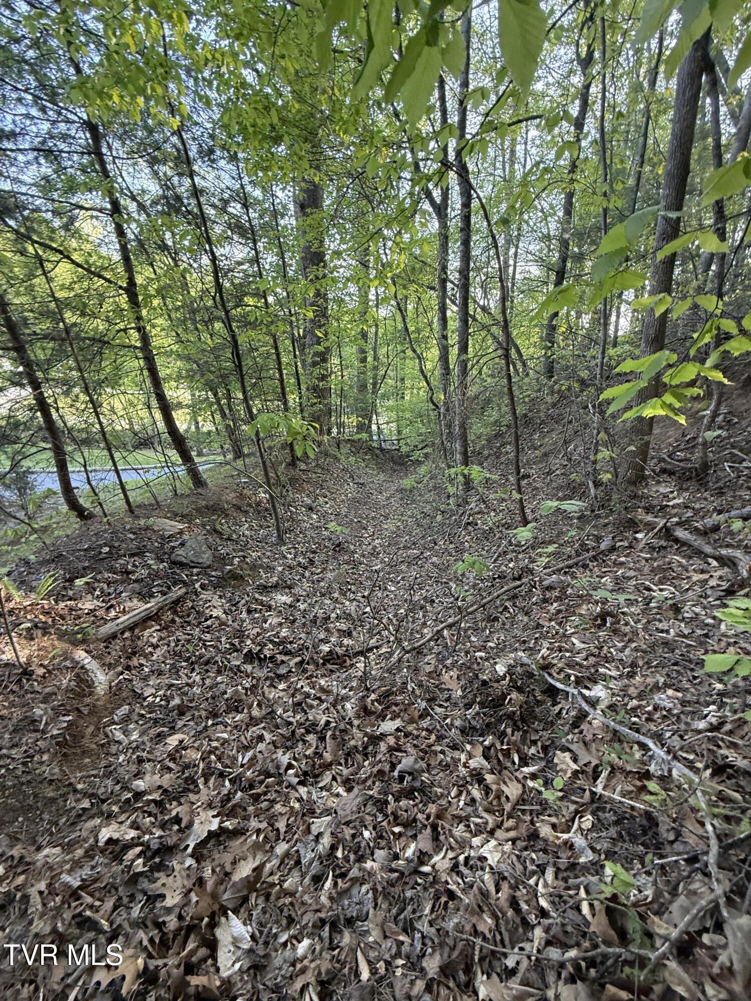 Tbd Bobs Hollow Road, Unit LOT 4 Elizabethton, TN 37643 - Photo 25 of 37 IMG_5262