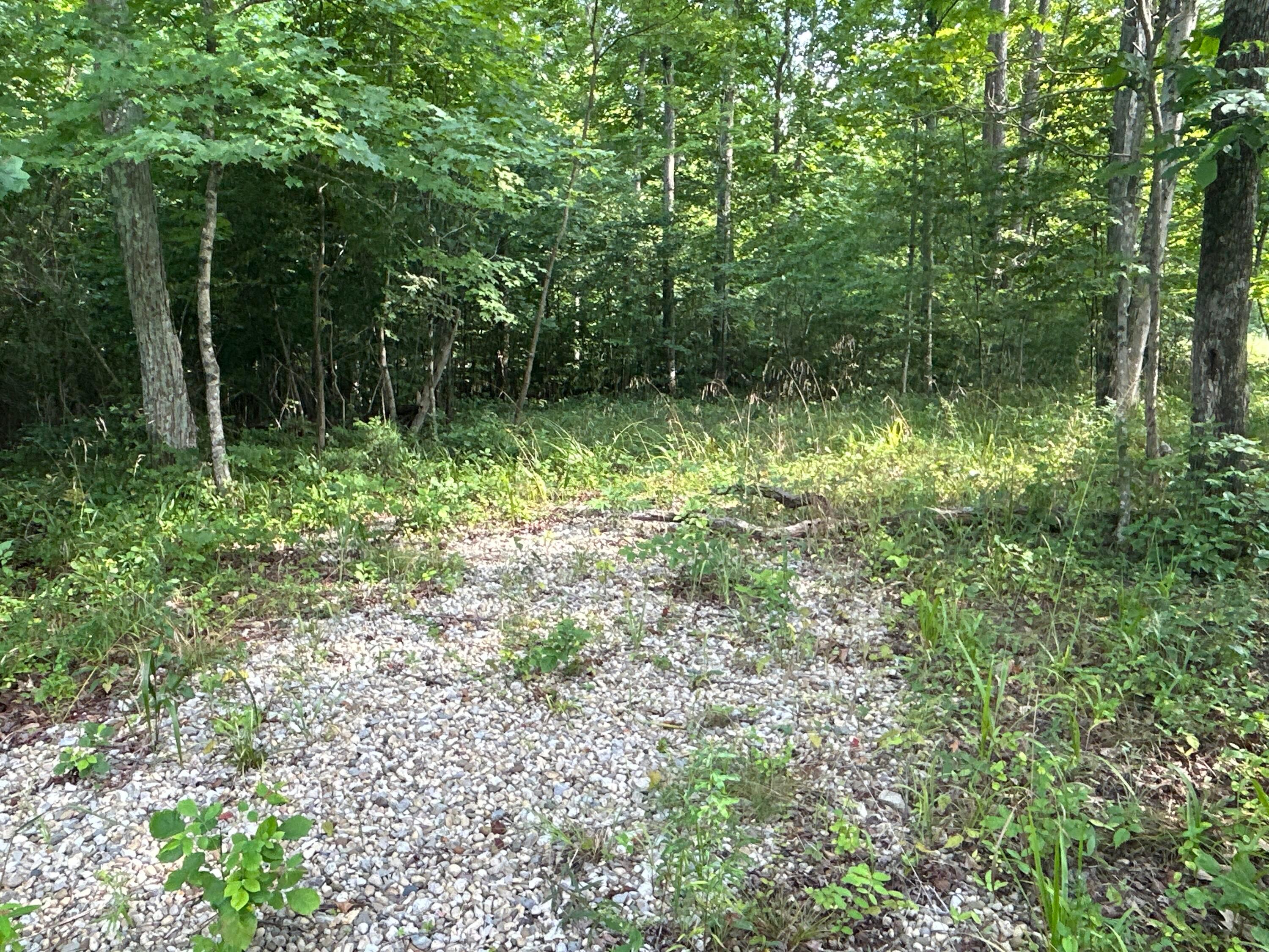 45690 Cox Road Waverly, OH 45690 - Photo 14 of 39 pic 14