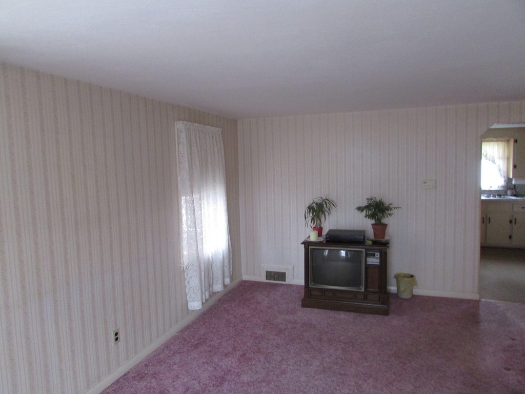 6 Wilshire Road Springfield, MA 01118 - Photo 5 of 10 a living room with furniture and a potted plant