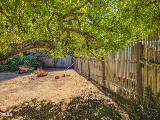 a view of a yard with an trees