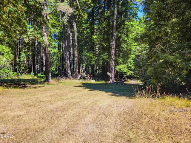 a view of an outdoor space