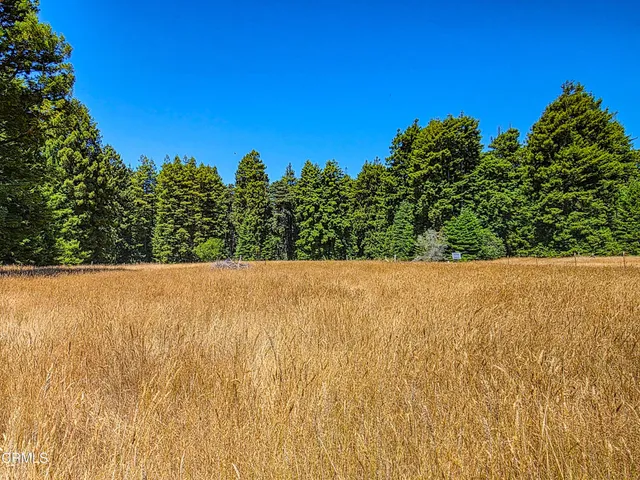 a view of outdoor space and garden