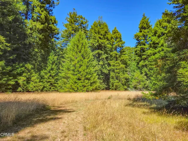 a house view with a outdoor space