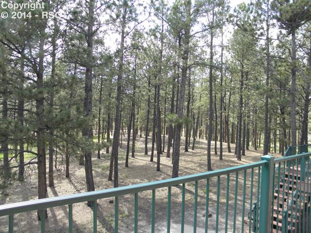 11330 Wakely Road Colorado Springs, CO 80908 - Photo 21 of 23 Back of Property