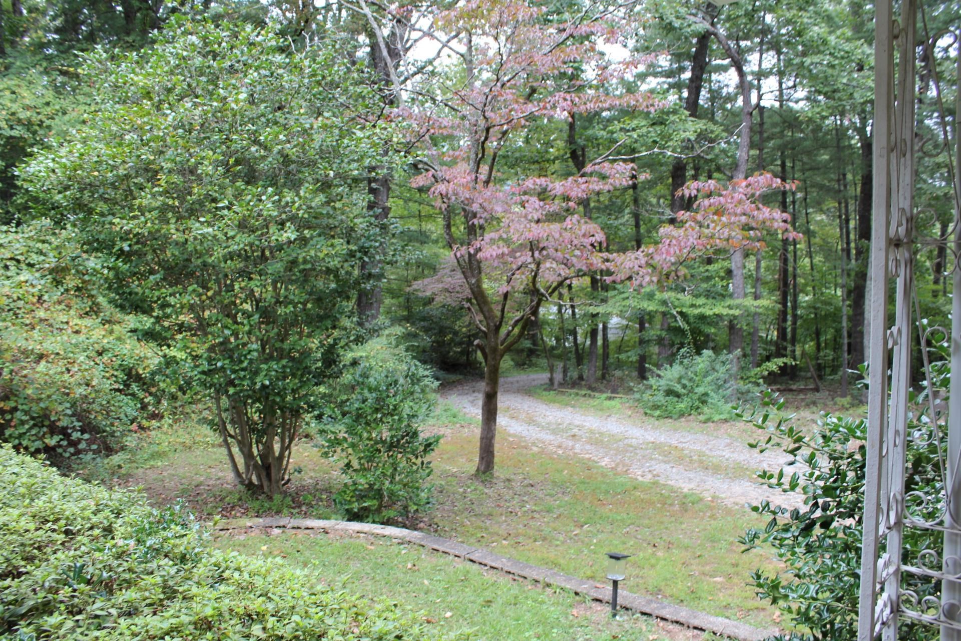 280 Walker Street Columbus, NC 28722 - Photo 42 of 47