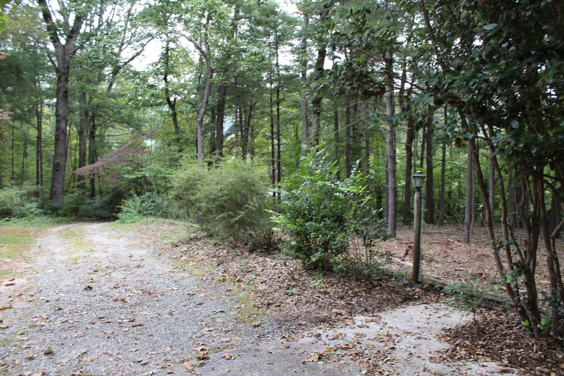 280 Walker Street Columbus, NC 28722 - Photo 43 of 47