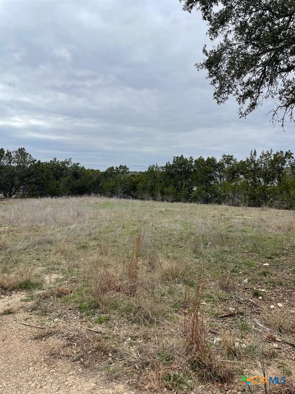 2 Cedar Court Wimberley, TX 78676 - Photo 5 of 5