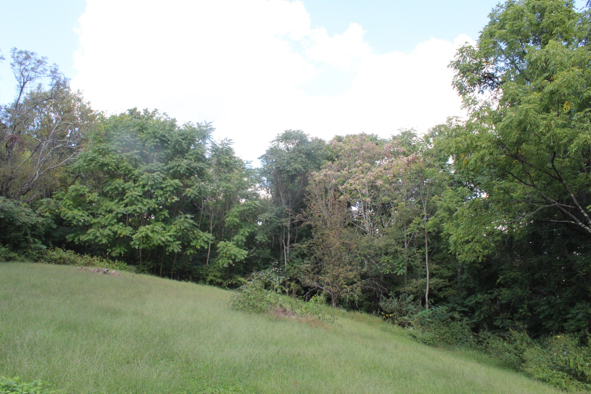 2104 Doubletop Road Jamestown, TN 38556 - Photo 28 of 28 Gallery Image 28