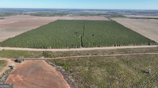 a view of a field with ocean view