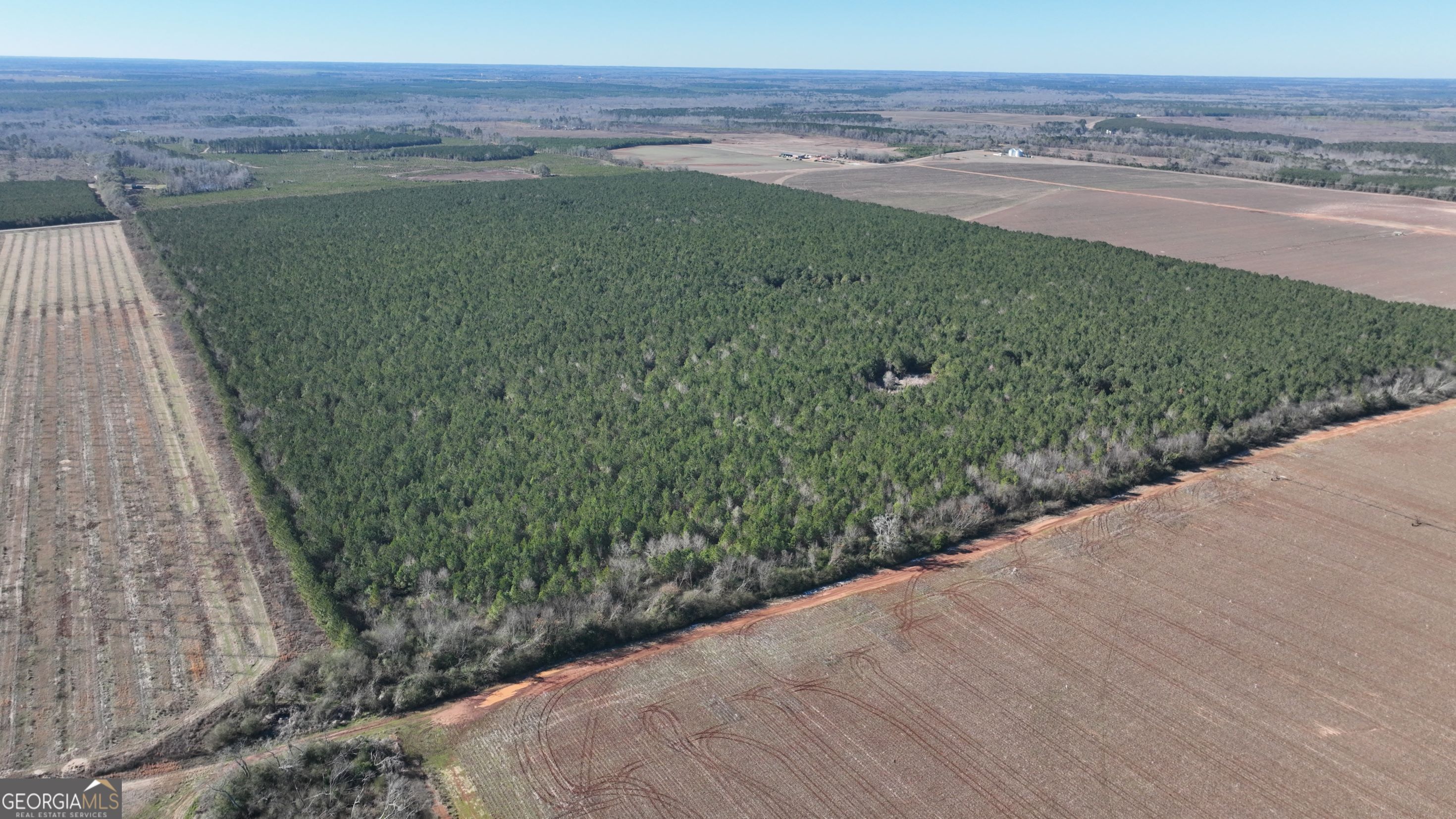 0 Belmont Road North Louisville, GA 30434 - Photo 4 of 7 a view of a field with an ocean