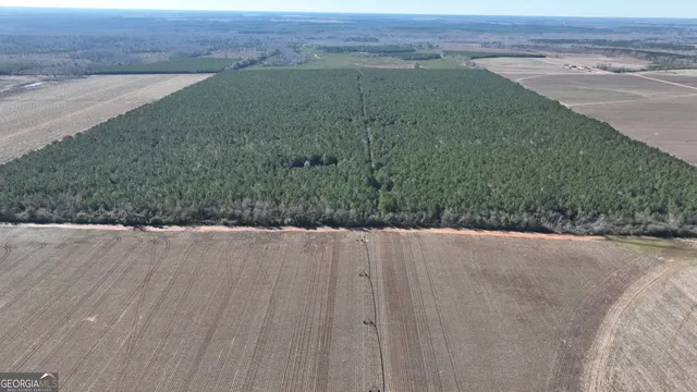 a view of a dry yard with wooden floor