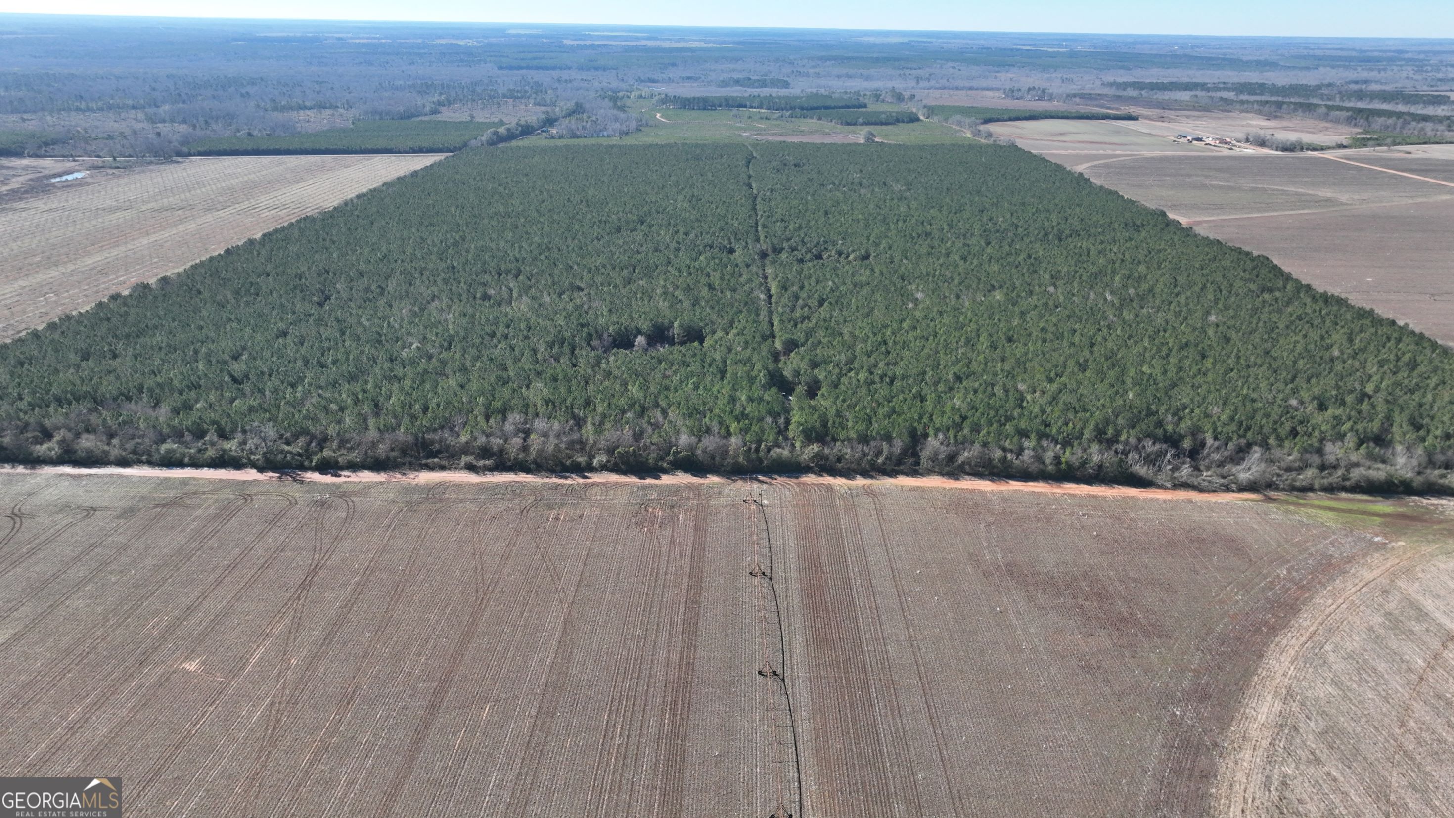0 Belmont Road North Louisville, GA 30434 - Photo 5 of 7 a view of a dry yard with wooden floor