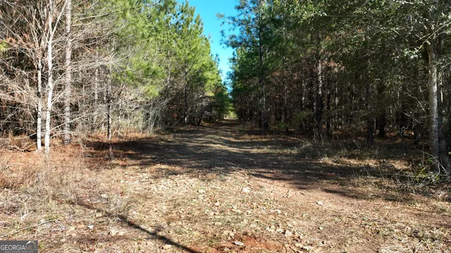a view of a yard with trees