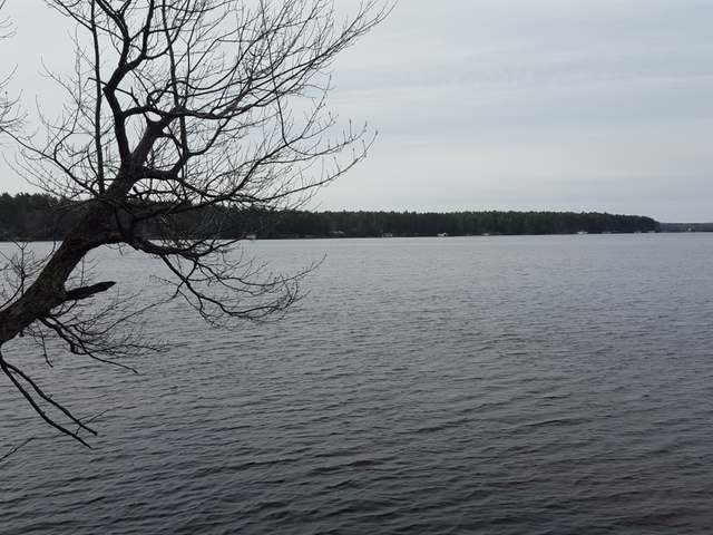 1-2 Everett Road, Unit LOTS Eagle River, WI 54521 - Photo 1 of 20 Gallery Image 1