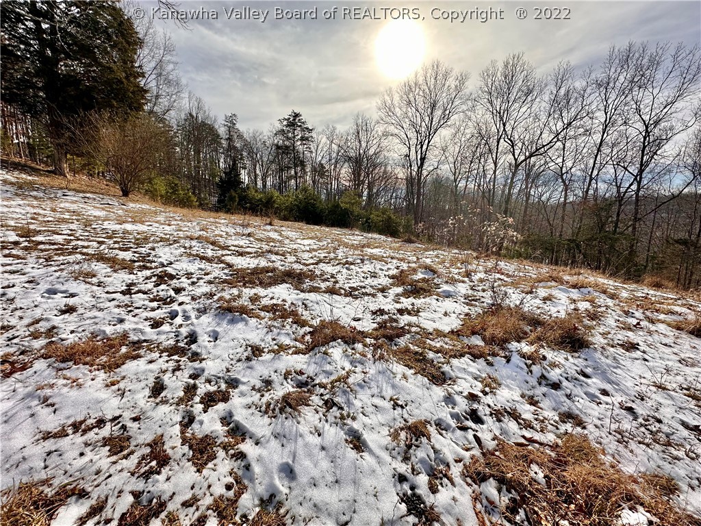 0 Joes Run Road Le Roy, WV 25252 - Photo 2 of 7 Gallery Image 2