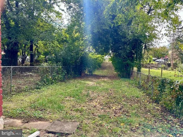 a view of backyard with green space