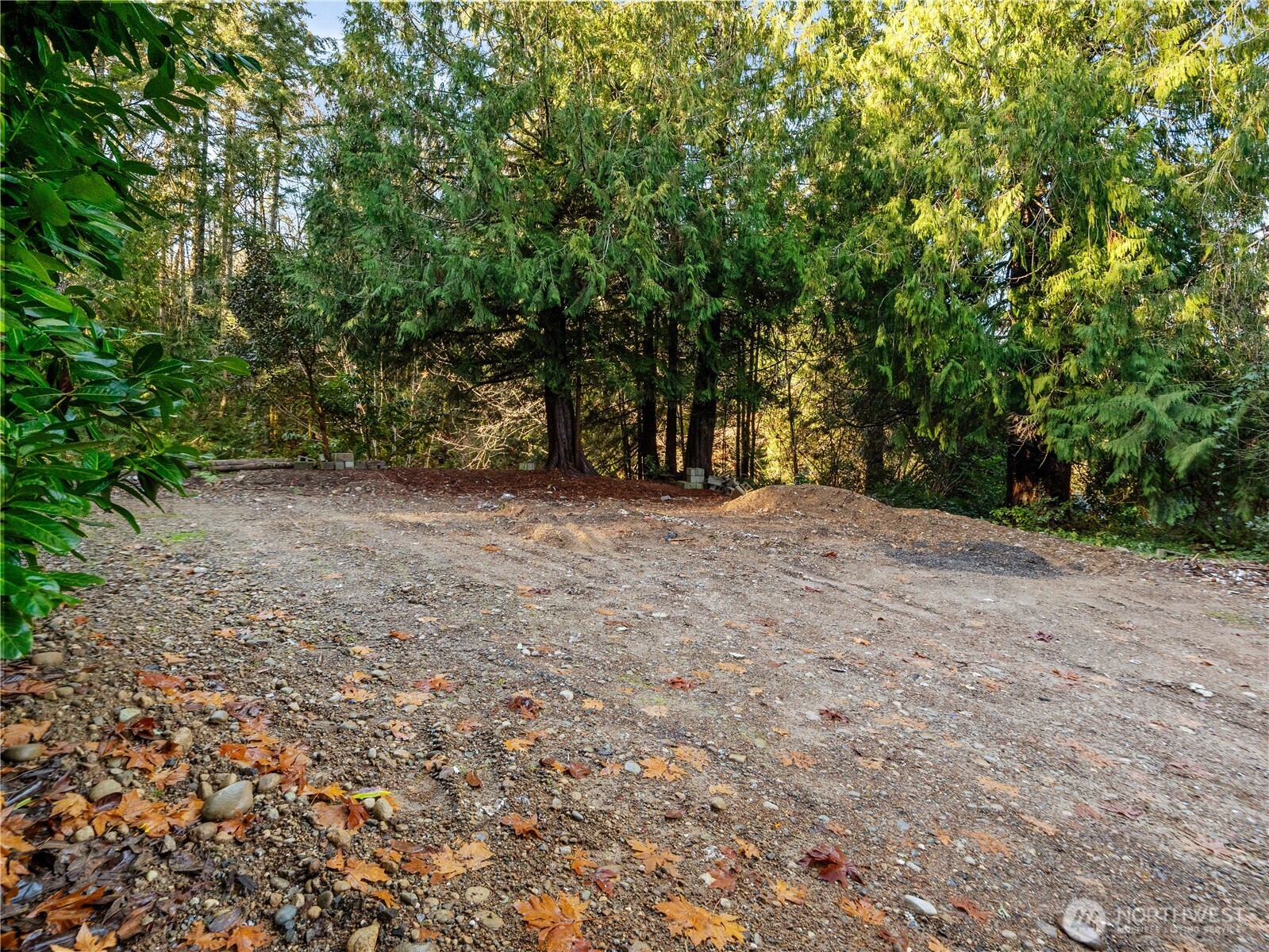 1843 Kitsap Lake Road Northwest Bremerton, WA 98312 - Photo 11 of 16 a view of an empty room with a tree