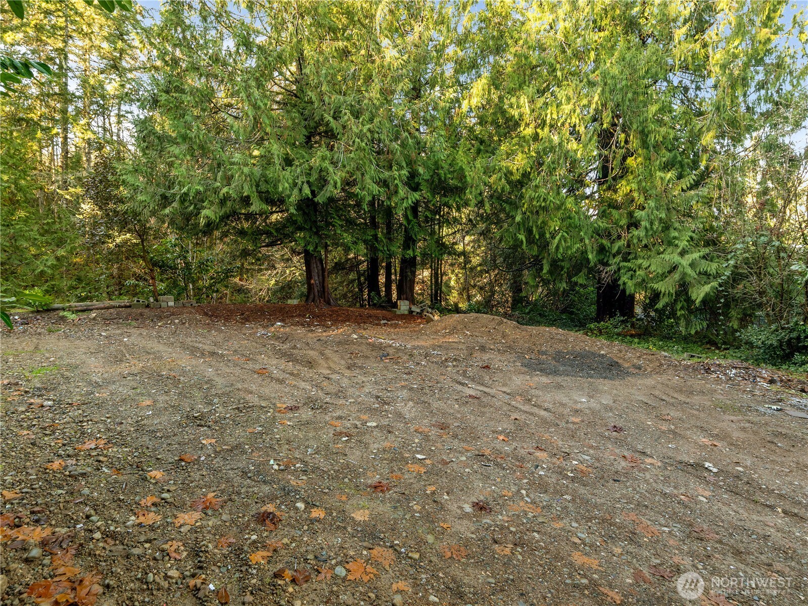 1843 Kitsap Lake Road Northwest Bremerton, WA 98312 - Photo 12 of 16 a view of an empty room with a tree