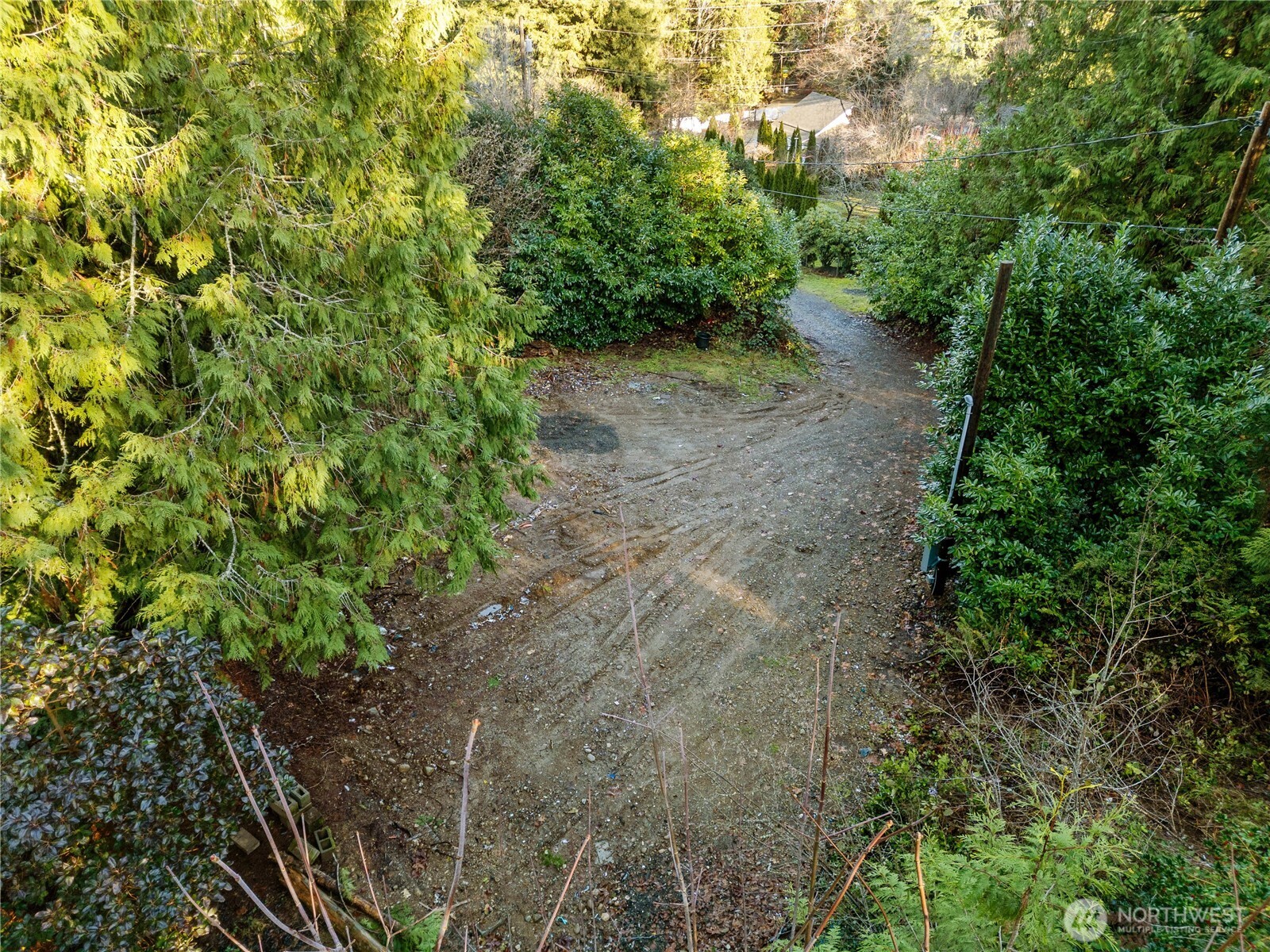 1843 Kitsap Lake Road Northwest Bremerton, WA 98312 - Photo 3 of 16 a view of a forest with trees in the background