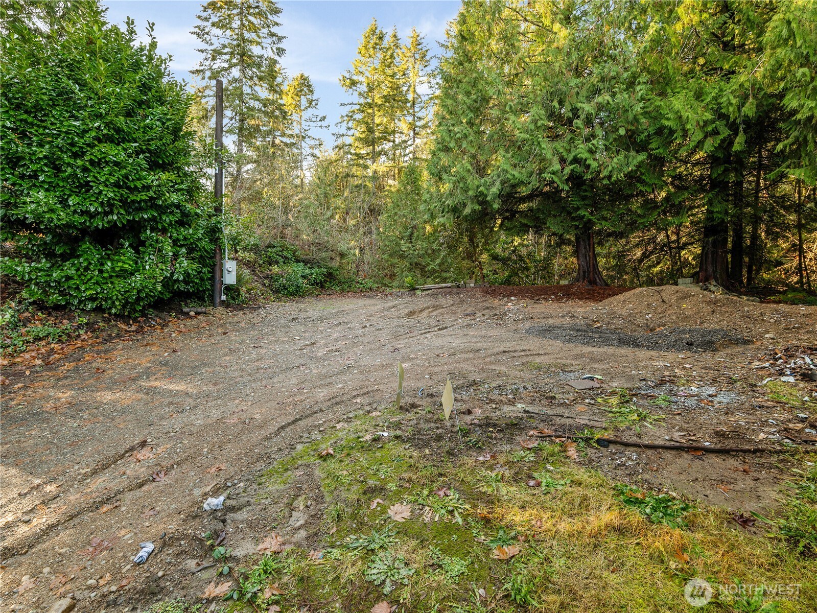 1843 Kitsap Lake Road Northwest Bremerton, WA 98312 - Photo 7 of 16 a view of a yard with trees in the background