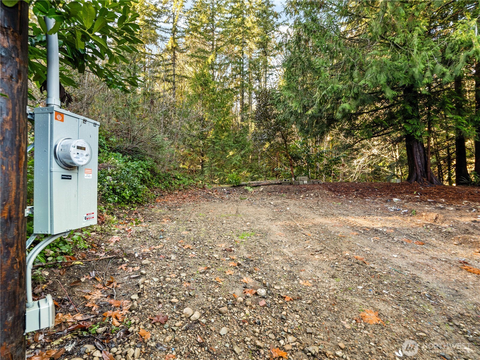 1843 Kitsap Lake Road Northwest Bremerton, WA 98312 - Photo 8 of 16 a backyard of a house with lots of green space