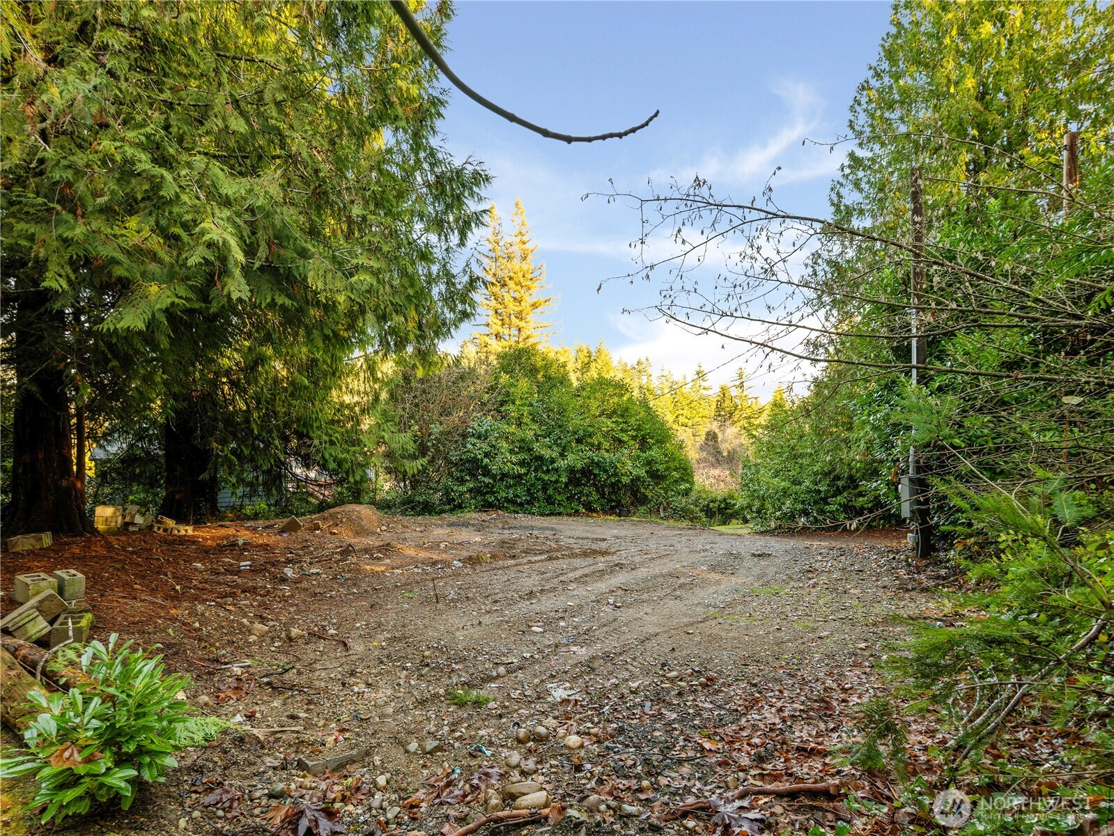 1843 Kitsap Lake Road Northwest Bremerton, WA 98312 - Photo 9 of 16 a view of a yard with a tree