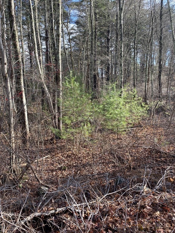 Lot 169-22 Beebe Road Monson, MA 01057 - Photo 9 of 14 Gallery Image 9