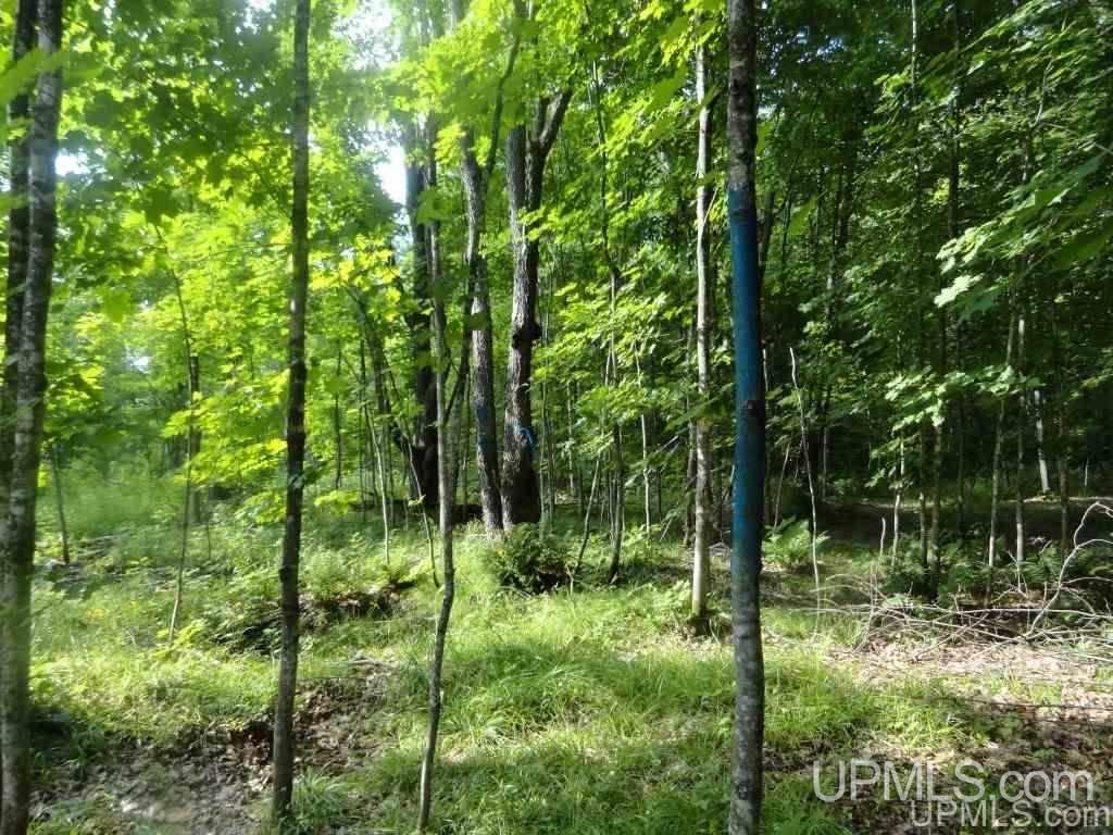 16 16 Mile Lake Road Munising, MI 49862 - Photo 1 of 8