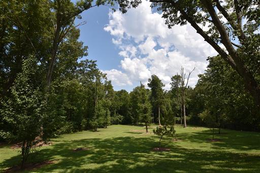 1118 Sparta Road Nashville, TN 37205 - Photo 2 of 26 Private, 1.2 acre lot offers privacy and quiet.