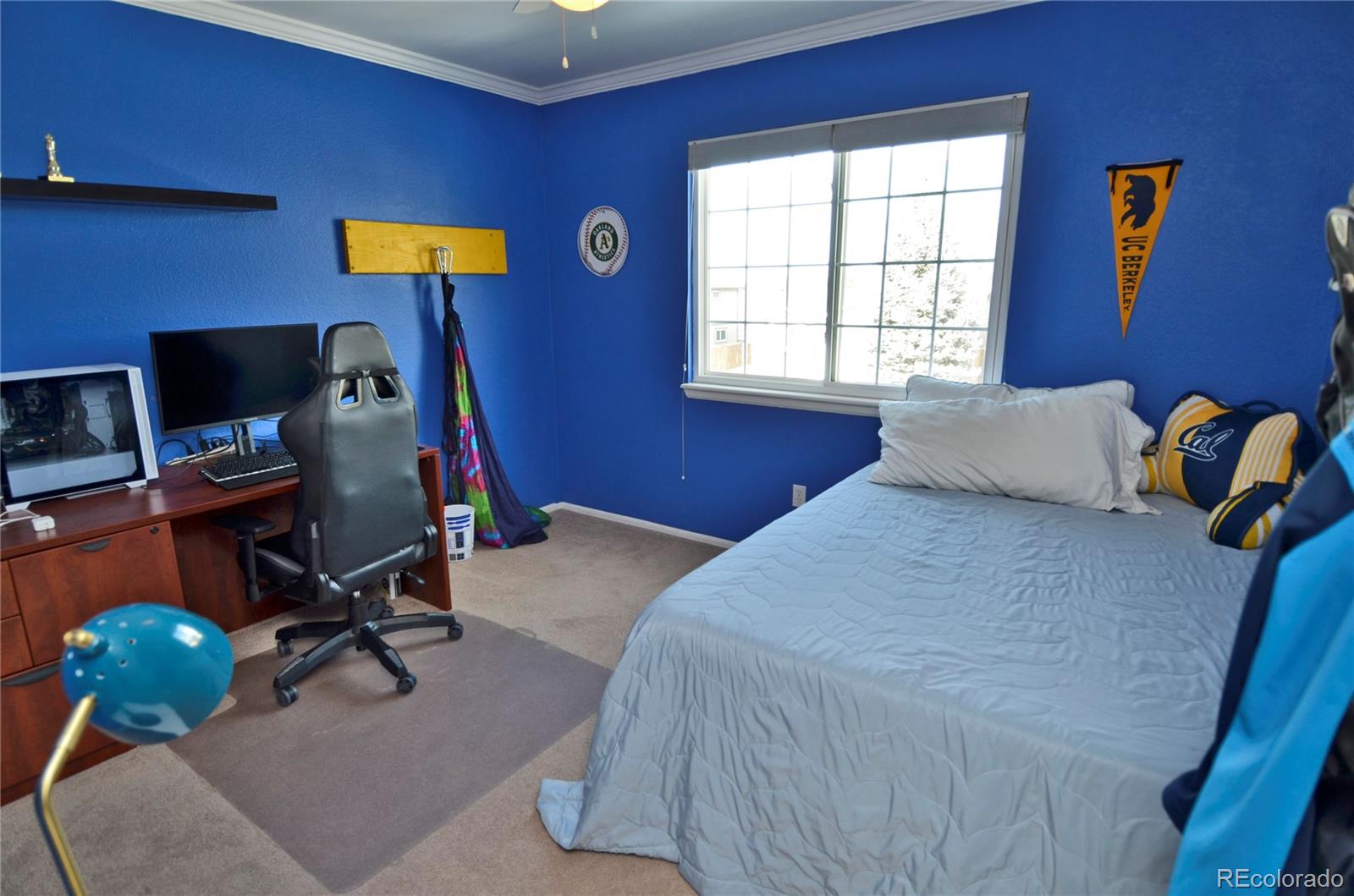 394 Southpark Road Highlands Ranch, CO 80126 - Photo 17 of 36 Gallery Image 17