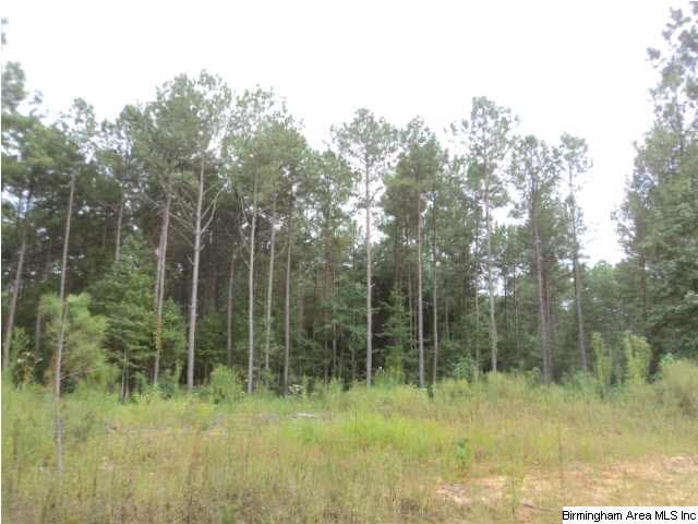 22 Highway Ac Al, Unit 89 Daviston, AL 36256 - Photo 2 of 10