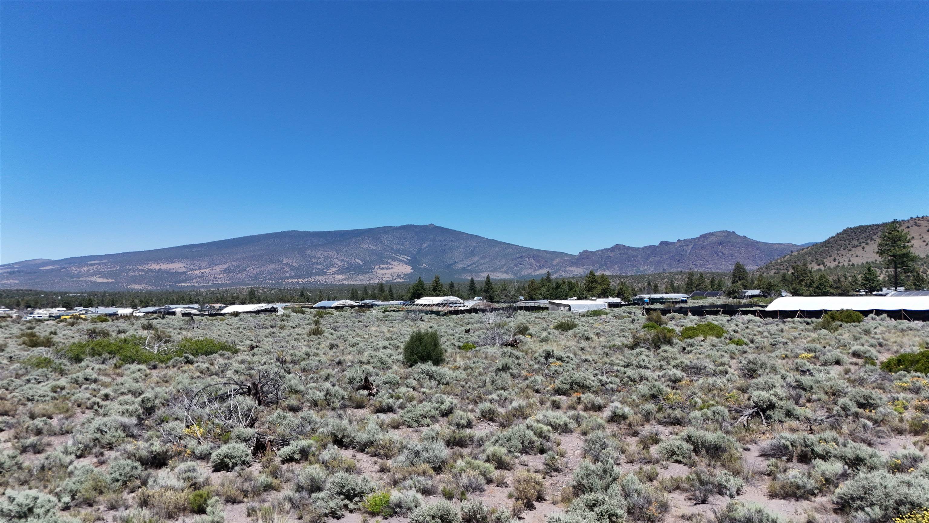 Lot 10 Timber Road Montague, CA 96064 - Photo 4 of 13 Gallery Image 4