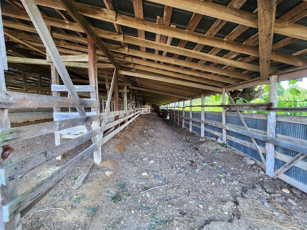 0 Taurus Farm Road Lafayette, TN 37083 - Photo 47 of 67 Gallery Image 47