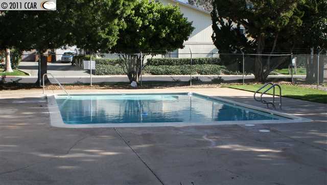 1375 Kenwal Road, Unit D Concord, CA 94521 - Photo 1 of 1 a view of a swimming pool with a bench and trees
