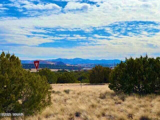 123 Co Road Concho, AZ 85924 - Photo 1 of 16