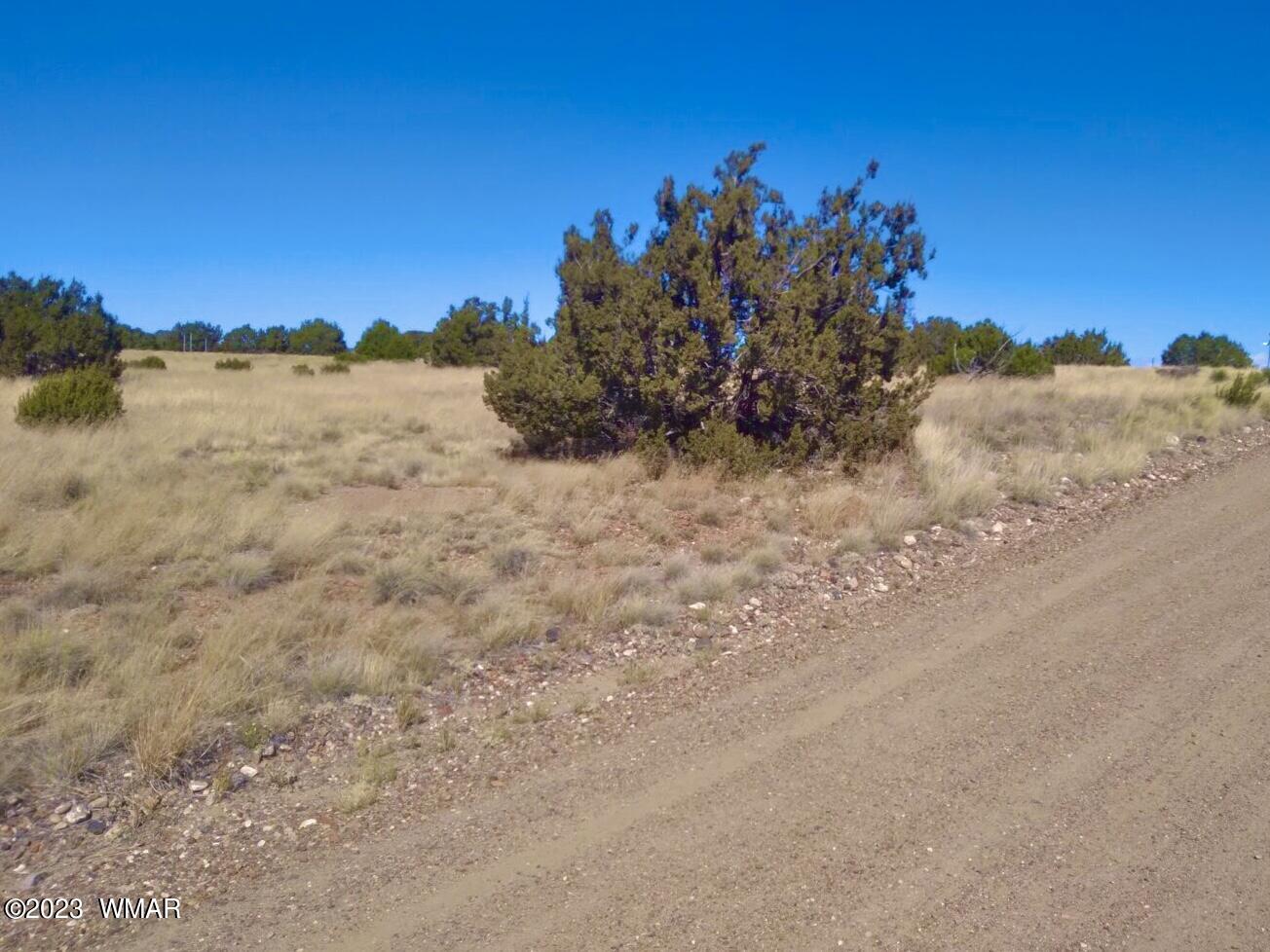 123 Co Road Concho, AZ 85924 - Photo 11 of 16