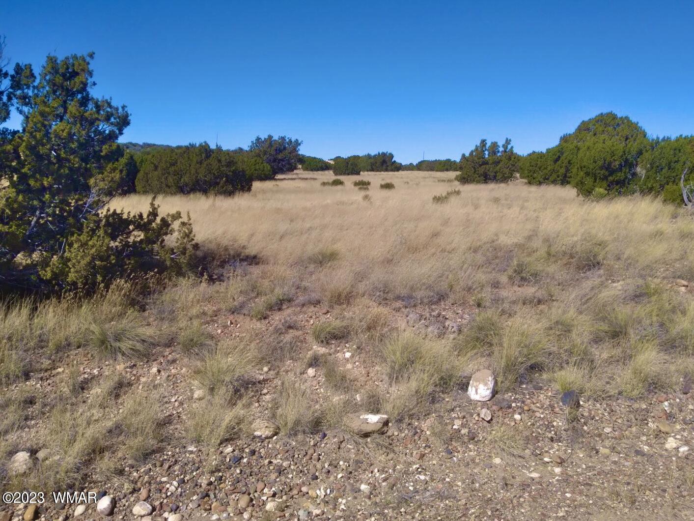 123 Co Road Concho, AZ 85924 - Photo 12 of 16