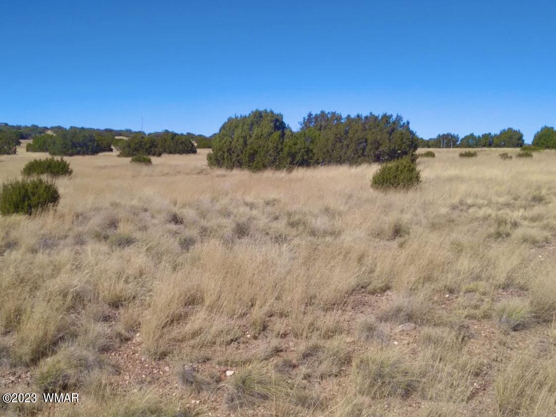123 Co Road Concho, AZ 85924 - Photo 13 of 16