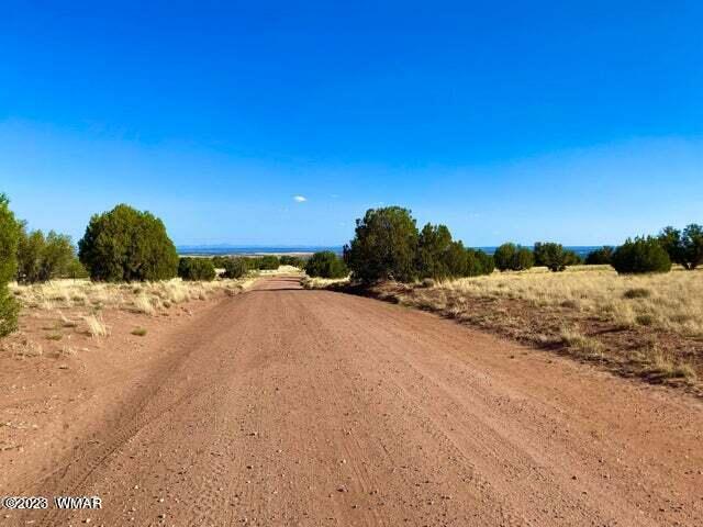 123 Co Road Concho, AZ 85924 - Photo 15 of 16