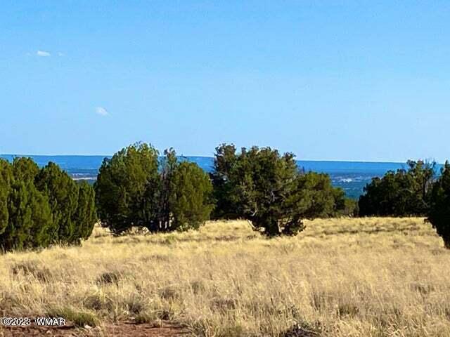 123 Co Road Concho, AZ 85924 - Photo 16 of 16