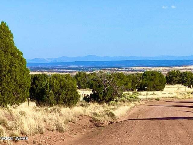 123 Co Road Concho, AZ 85924 - Photo 4 of 16