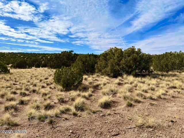 123 Co Road Concho, AZ 85924 - Photo 5 of 16