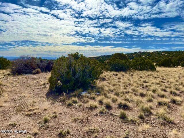 123 Co Road Concho, AZ 85924 - Photo 6 of 16