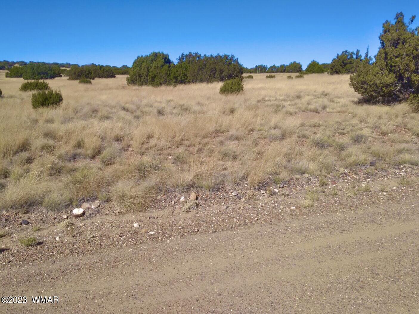 123 Co Road Concho, AZ 85924 - Photo 10 of 16