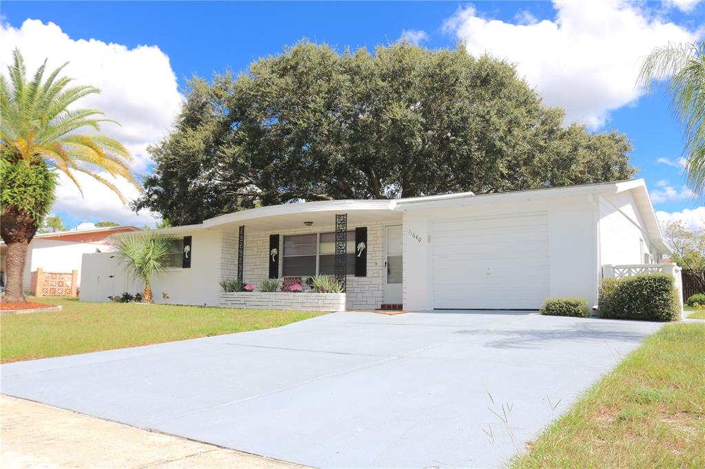 11640 Rocks Lane Port Richey, FL 34668 - Photo 1 of 1 Gallery Image 1