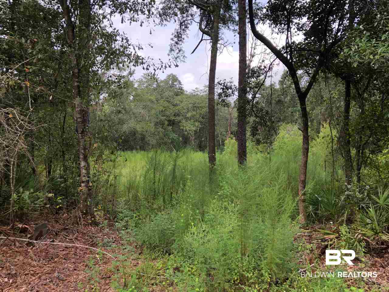 22555 McPhillips Road Loxley, AL 36551 - Photo 1 of 2